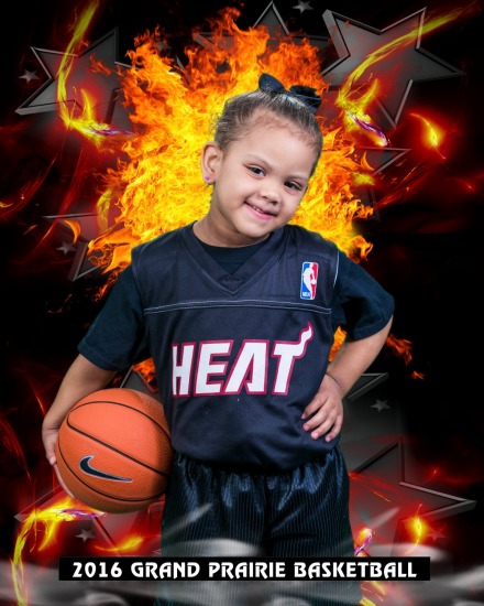 Heat Basketball